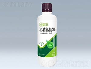 ���İ�����ˮ�ܷ�-��ݮȦ