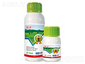 ������-�[��-��������