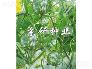 ����3̖-�ϹϷN��-���зN�I(y��)