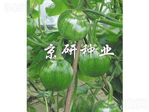 ����2̖-�ϹϷN��-���зN�I(y��)