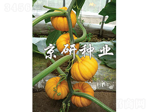 ������-�ϹϷN��-���зN�I(y��)