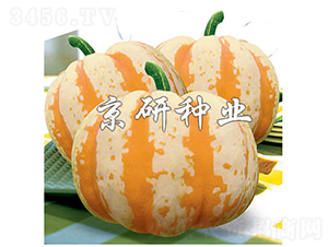 �ʹ�-�ϹϷN��-���зN�I(y��)