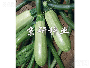 ����1̖-�����J�N��-���зN�I(y��)