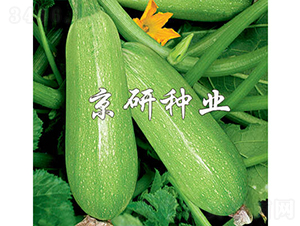 ����5̖-�����J�N��-���зN�I(y��)