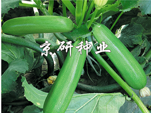 ����10̖-�����J�N��-���зN�I(y��)