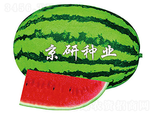 ����6̖(h��o)-���ϷN��-���зN�I(y��)