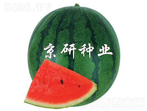 ��������2̖(h��o)-���ϷN��-���зN�I(y��)