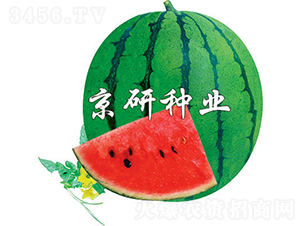 ����3̖(h��o)-���ϷN��-���зN�I(y��)