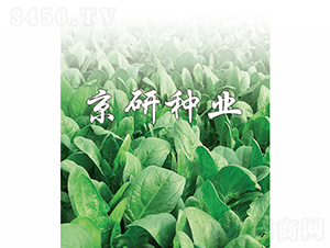 ����1̖-���˷N��-���зN�I(y��)