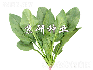 ����186-���˷N��-���зN�I(y��)