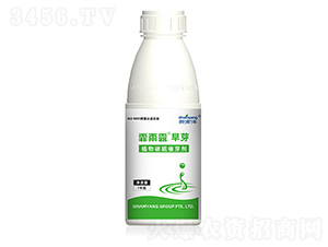 ֲ�����ߴ�ѿ��-����¶��ѿ-Сħ��