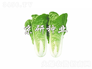 ���п��4̖(h��o)-�ײ˷N��-���зN�I(y��)