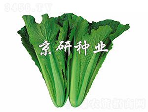 �G��2̖(h��o)-�ײ˷N��-���зN�I(y��)