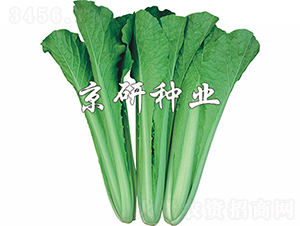 �ļ����1̖(h��o)-�ײ˷N��-���зN�I(y��)