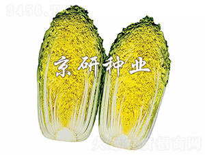 ������2̖(h��o)-�ײ˷N��-���зN�I(y��)