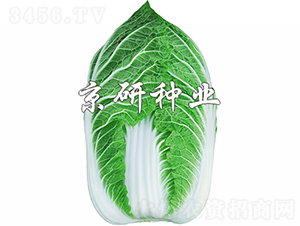 �����S2̖(h��o)-�ײ˷N��-���зN�I(y��)