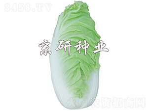 ����6̖(h��o)-�ײ˷N��-���зN�I(y��)