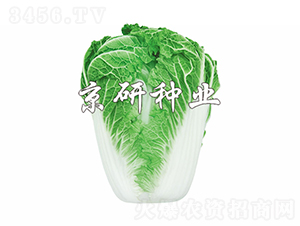 ����14-19-�ײ˷N��-���зN�I(y��)