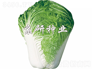 С�s61̖(h��o)-�ײ˷N��-���зN�I(y��)