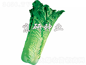 ����70̖(h��o)-�ײ˷N��-���зN�I(y��)