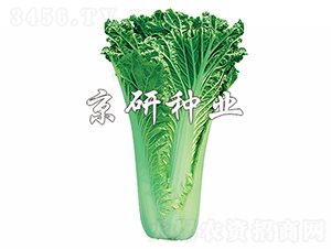 ����75̖(h��o)-�ײ˷N��-���зN�I(y��)