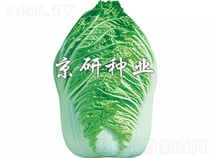 ������ţ��-�ײ˷N��-���зN�I(y��)