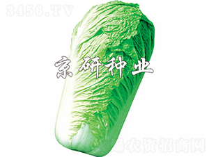 ������3̖(h��o)-�ײ˷N��-���зN�I(y��)