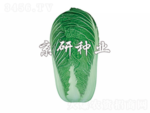 ����4̖(h��o)-�ײ˷N��-���зN�I(y��)