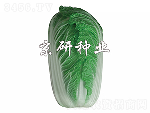 �����ۼt2̖(h��o)-�ײ˷N��-���зN�I(y��)