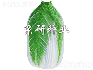 �����S3̖(h��o)-�ײ˷N��-���зN�I(y��)