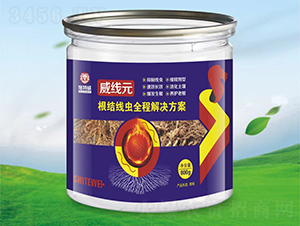 ���Y���xȫ�̽�Q����-����Ԫ-ʩ����