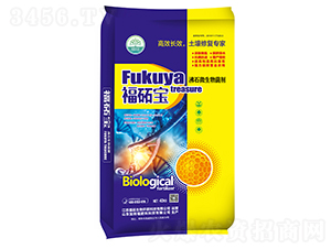 ��ʯ΢�������-���i��-���i����