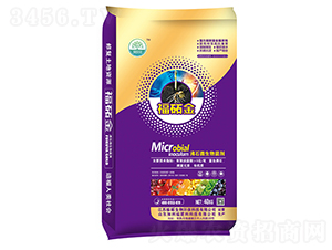 ��ʯ΢�������-���i��-���i����