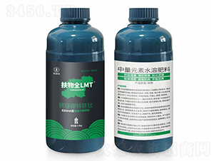 �}�V���\�F�-����ȫLMT-������