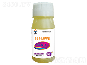 �Ǵ��V-�W�ʩ