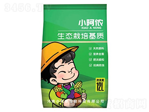 ���B(t��i)������|(zh��)-С���z