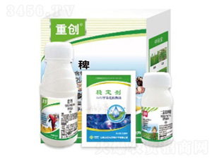 �؄�(chu��ng)-���՘�(l��)