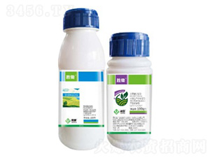 ���z-���՘�(l��)