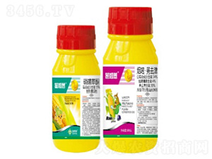 ����޲-���՘�(l��)