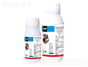 3%�װ������S���ر������}΢�鄩-������-���՘�