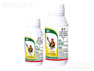 20%����������-��^-���՘�