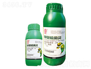 3%�׻�����`-����-������