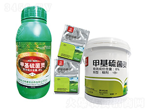 8%�׻�����`����-������