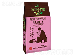 ��ጓ������20-25-8-�_����ˎ��-���ϻ���