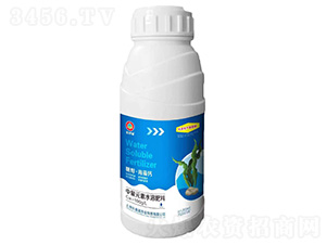 �Ǵ��������}-�w�֌�-��ϲʩ