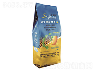 益生菌發(fā)酵大豆-壹漁社-華洋商社