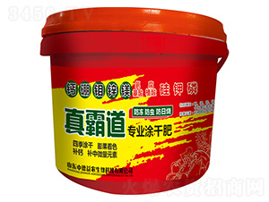 ��Ե����I(y��)Ϳ�ɷ�-�е����r(n��ng)