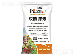 �pø����-�е����r(n��ng)