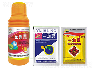 һ���`���r(n��ng)���ЙC����Ч����-�õ���