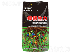 �����������Ǿ��N��-�Zؐ��-��ʢԪ